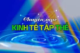 Chuyên mục Kinh tế tập thể Gia Lai 20-5-2025