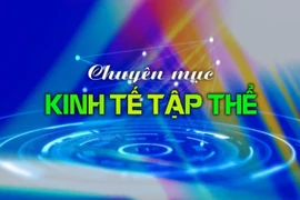 Chuyên mục Kinh tế tập thể Gia Lai 20-5-2025