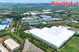 Xúc tiến quan hệ hợp tác giữa doanh nghiệp Gia Lai và doanh nghiệp Nhật Bản