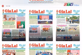 Báo chí Gia Lai góp phần cổ vũ các phong trào thi đua yêu nước