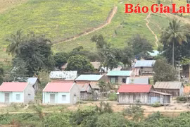 Giảm nghèo hiệu quả tại vùng dân tộc thiểu số 