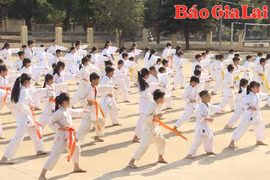 Chư Păh đẩy mạnh phong trào rèn luyện võ thuật Karatedo
