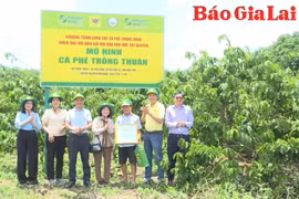Tín hiệu tích cực từ mô hình “Canh tác cà phê thông minh”