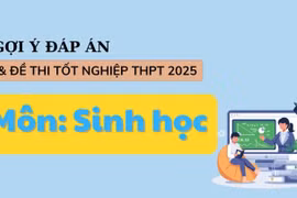 Đáp án đề thi môn Sinh học tốt nghiệp THPT 2025