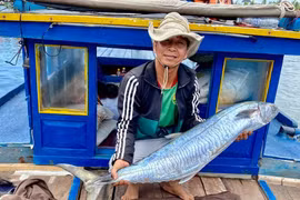 Ngư phủ cô độc