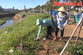 Bảo vệ môi trường từ những hành động giản đơn