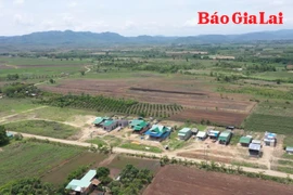 Ổn định dân cư, phát triển bền vững