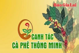 Chuyên mục Canh tác cà phê thông minh 26-6-2025