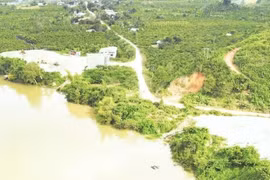 Tăng cường kiểm soát, ổn định giá cát tại Đắk Nông