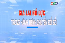 Gia Lai nỗ lực trong hành trình chuyển đổi số