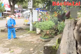 Chư Păh chủ động phòng, chống dịch bệnh sốt xuất huyết