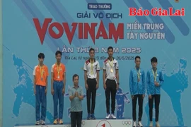 Dấu ấn từ giải đấu khu vực và bước tiến của thể thao Gia Lai