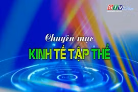 Chuyên mục Kinh tế tập thể 17-6-2025