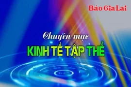 Chuyên mục Kinh tế tập thể 17-6-2025
