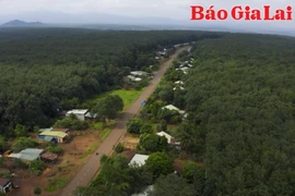 Giúp đồng bào DTTS an cư nơi miền biên giới tỉnh Gia Lai