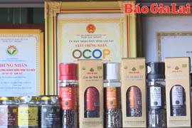 Hợp tác xã tiên phong trong sản xuất nông nghiệp hữu cơ