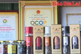 Hợp tác xã tiên phong trong sản xuất nông nghiệp hữu cơ