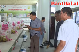 Nâng cao hiệu quả hoạt động cho hợp tác xã