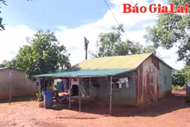 Hỗ trợ giảm nghèo vùng biên giới