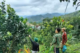 Miền núi Quảng Ngãi bừng sáng từ 'cần câu' sinh kế