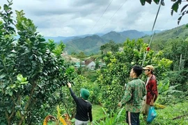 Miền núi Quảng Ngãi bừng sáng từ 'cần câu' sinh kế