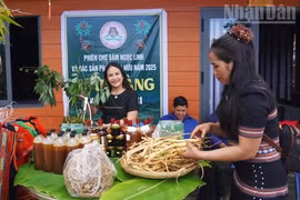 Vượt khó vươn lên từ dược liệu và bản sắc