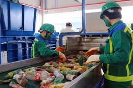 Quy Nhơn hướng tới đô thị không rác thải nhựa