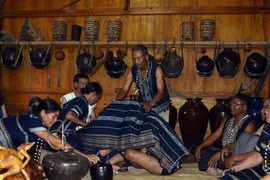 Bắt chồng giữa đại ngàn