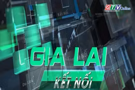 Bản tin Gia Lai kết nối ngày 16-6-2025