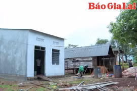 Huyện Đức Cơ đảm bảo tiến độ xóa nhà tạm, nhà dột nát về đích đúng kế hoạch
