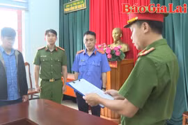 Công an tỉnh Gia Lai bắt giữ nhiều đối tượng vi phạm pháp luật