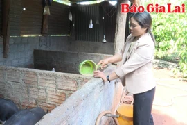 Nguồn vốn tín dụng chính sách tại Đak Đoa-Bệ đỡ cho an sinh và phát triển bền vững 
