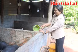 Nguồn vốn tín dụng chính sách tại Đak Đoa-Bệ đỡ cho an sinh và phát triển bền vững 