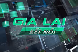 Bản tin Gia Lai kết nối ngày 21-5-2025
