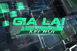 Bản tin Gia Lai kết nối ngày 19-5-2025