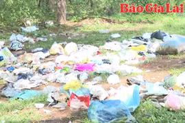 Ô nhiễm mỗi trường tại đường Trường Sa