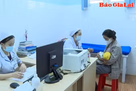 Gia Lai hướng tới triển khai bệnh án điện tử theo chỉ đạo của Thủ tướng Chính phủ