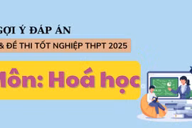 Đáp án đề thi môn Hoá học tốt nghiệp THPT 2025 tất cả mã đề