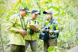 “Nhà khoa học” của rừng