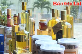 Sản phẩm của doanh nghiệp Gia Lai - Cơ hội vào thị trường khó tính Nhật Bản