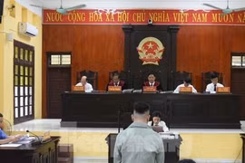 Vận chuyển 270 kg ma túy, 2 bị cáo lĩnh án tù chung thân