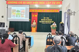 Phường Phù Đổng truyền thông về rèn luyện thân thể, phòng bệnh cho người cao tuổi 