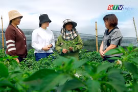 Yang Bắc chú trọng đào tạo nghề gắn với giải quyết việc làm cho lao động nông thôn 