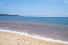 UBND phường Hoài Nhơn Bắc đang xác định nguyên nhân hiện tượng nước biển ven bờ bị đổi màu.