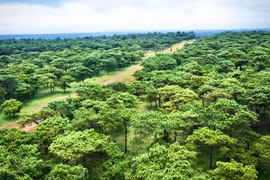 UBND tỉnh Gia Lai chấp thuận Công ty TNHH Đầu tư và Quản lý tòa nhà Ion Complex là nhà đầu tư thực hiện dự án Sân golf Đak Đoa với tổng vốn hơn 1.150 tỷ đồng vào ngày 15-1.