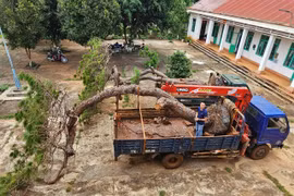 Cơ quan chức năng tạm giữ phương tiện và tang vật