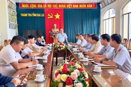 Công bố quyết định thanh tra