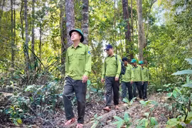 Mô hình quản lý rừng tập trung thống nhất giúp nâng cao hiệu quả bảo vệ rừng tại Vườn Quốc gia Kon Ka Kinh