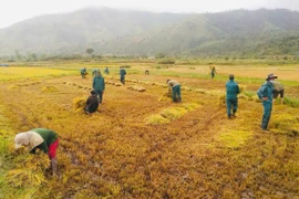 Chư Păh: Lan tỏa sâu rộng phong trào học và làm theo Bác