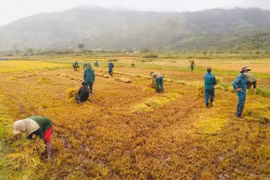 Chư Păh: Lan tỏa sâu rộng phong trào học và làm theo Bác
